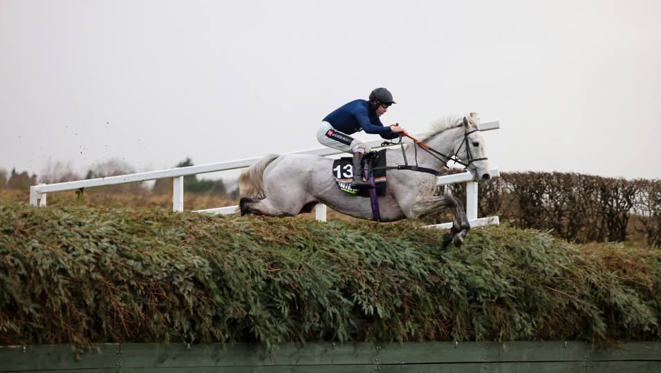 leopardess grand national